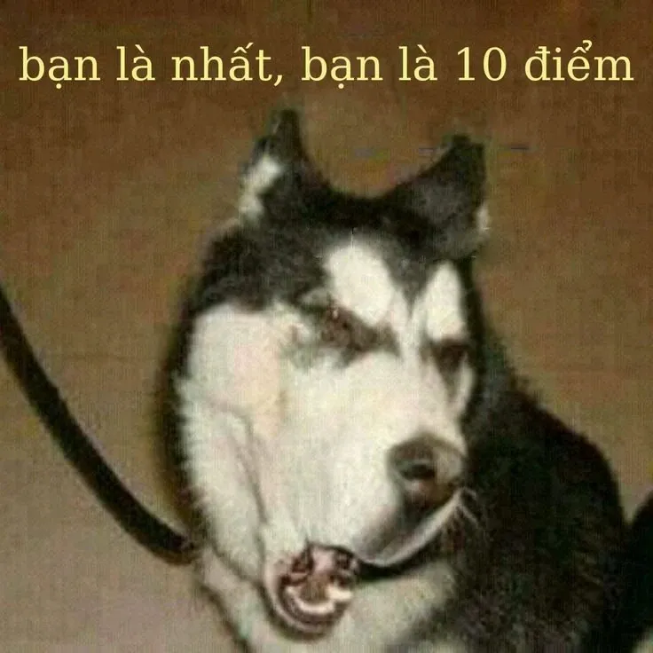 bạn là nhất meme 30