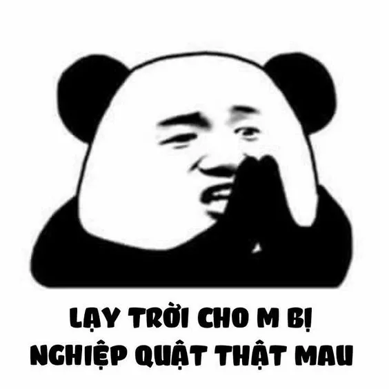 meme bất lực 16