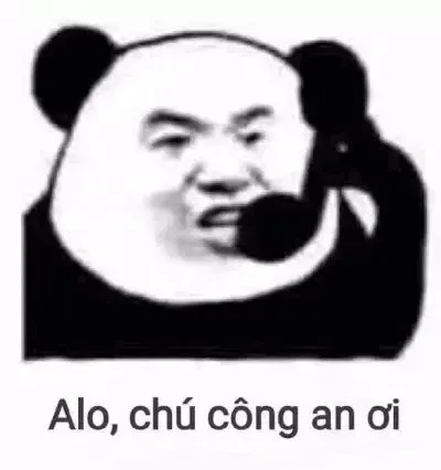 meme gấu trúc 6