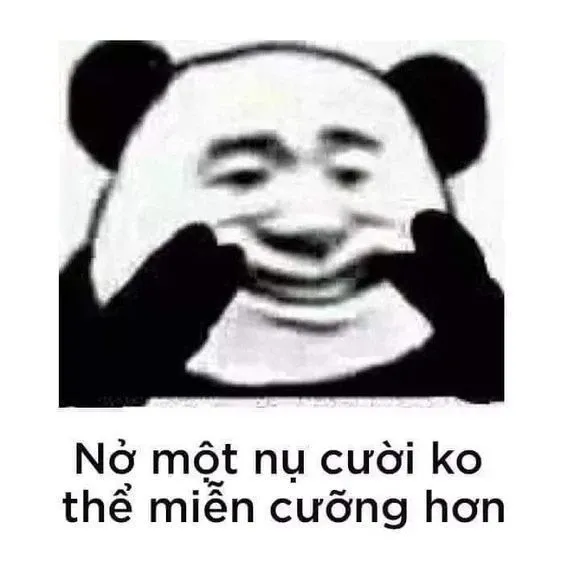 meme gấu trúc 7