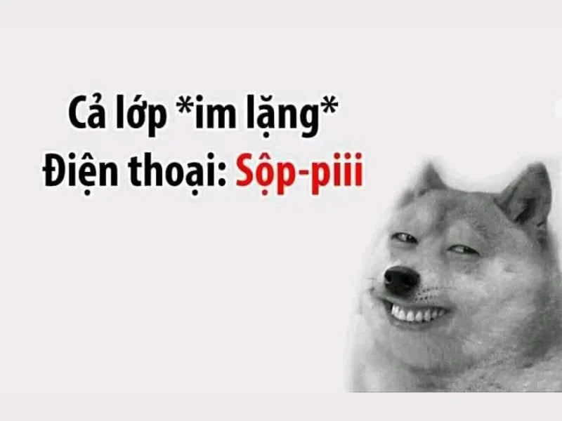 meme nổi tiếng 33