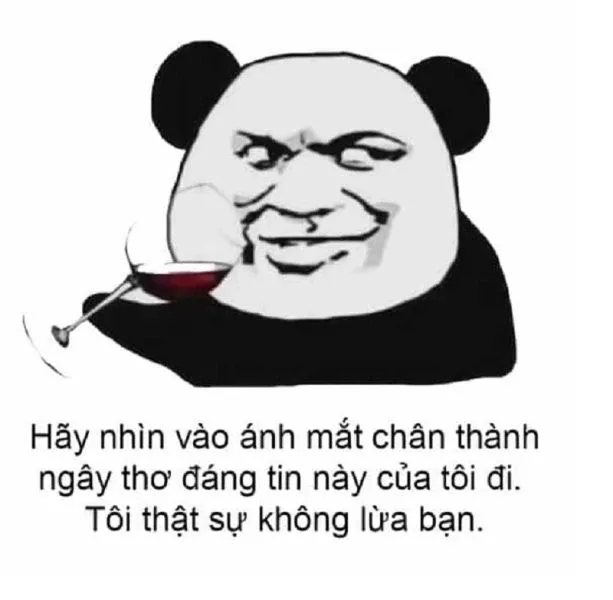 meme xin lỗi 24