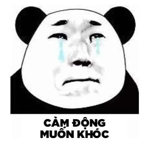 meme xúc động 23