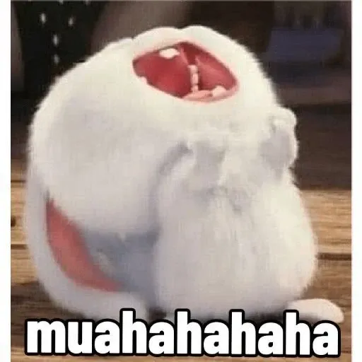 thỏ snowball meme 26